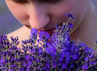 Researchers Say Loss of Taste and Smell Could Be Indicative of COVID-19 Infection