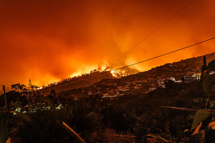 Trumps Rejects California’s Request for Federal Assistance to Repair Wildfire Damages