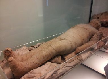 Scientists Pioneer New Technique to Study Egyptian Mummies